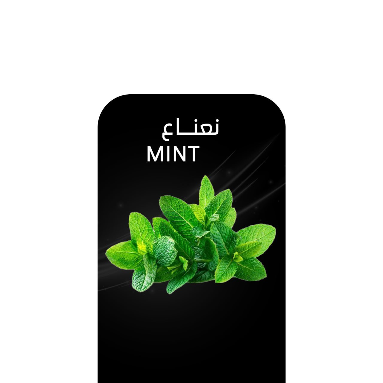 أركيلة نعناع .